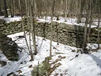 buck cellar 001.webp