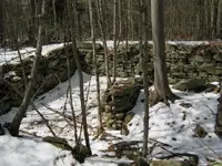 buck cellar 002.webp