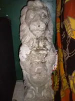 DSCN1812.webp