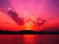 avatar_52915.webp