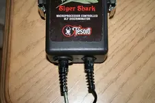 Tiger Shark.webp