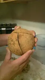cannon ball 004.webp