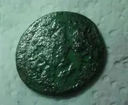 Massachusetts Copper resized.webp