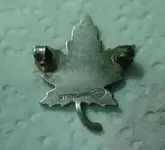 Sterling pin back resized.webp