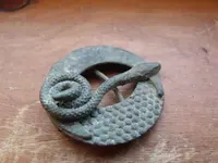 snake_front.webp