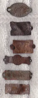 Dog Tags#2.webp