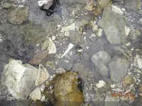 drill_1_jpg-thumb.webp