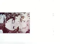 22.webp