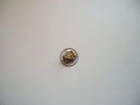 GOLD BASIN SPECIE 034.webp