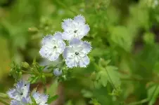 DSC04693.webp