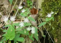 DSC04698.webp