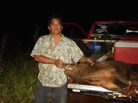 WILD BOAR 019.webp