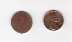pennies heads.webp pennies heads.webp