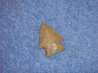 DSC00028[1].webp