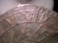 IMG00151-20110110-2012.webp