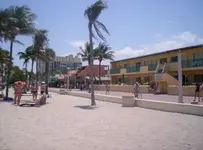 000_1256.webp