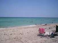 000_1254.webp