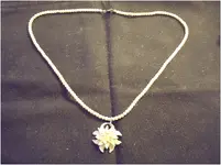 April 10th Bone Necklace.webp