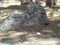 Copy (2) of Dog  2010 275.webp