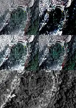 Heart-fin.webp