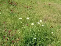 100_2308.webp