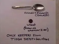 Tioga finds.webp