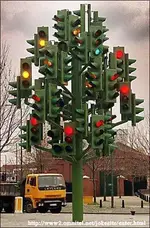 city\'s christmas tree.webp