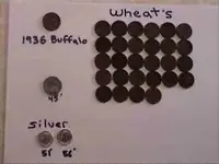 Wheats,buf-silv.webp