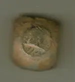 Apr15$06seal.webp