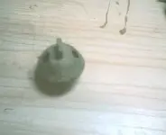 Crotal_bell001.webp