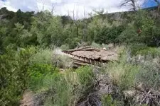Cabin3.webp
