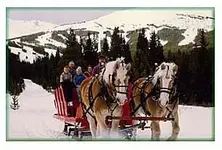 nordic1.webp