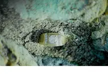 dimond ring.webp