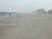 Windy Day at the Beach.webp