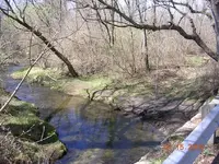 stream.webp