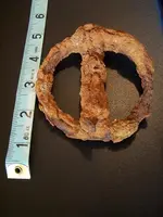 buckle2.webp