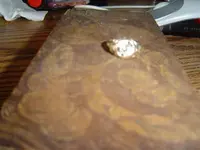 garden ring 001.webp