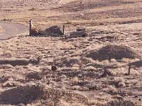 metal detecting 018.webp