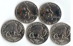 2005_Buffalo_Nickels.webp