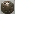 Badge.webp