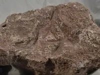 rock 006X.webp