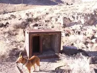 metal detecting 016.webp