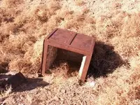 metal detecting 025.webp