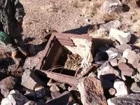 metal detecting 028.webp