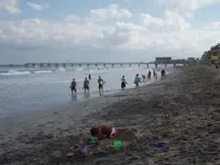 Picture Olympus 001.jpg.1.webp