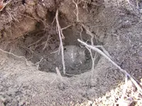 11-24hunt 001.webp