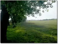0042.webp