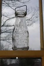 Picture 024.webp