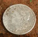 DSCN1602.webp