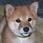 0611231212482.webp
